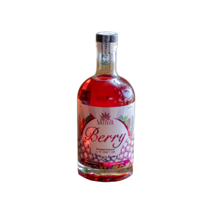 Satiwa Berry Gin 750ML Gin price in Goa