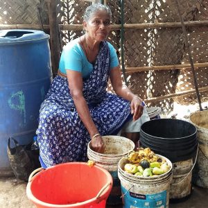 Sattari Feni price in Goa