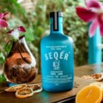 Seqer Mublerry Gin 750Ml Gin price in Goa